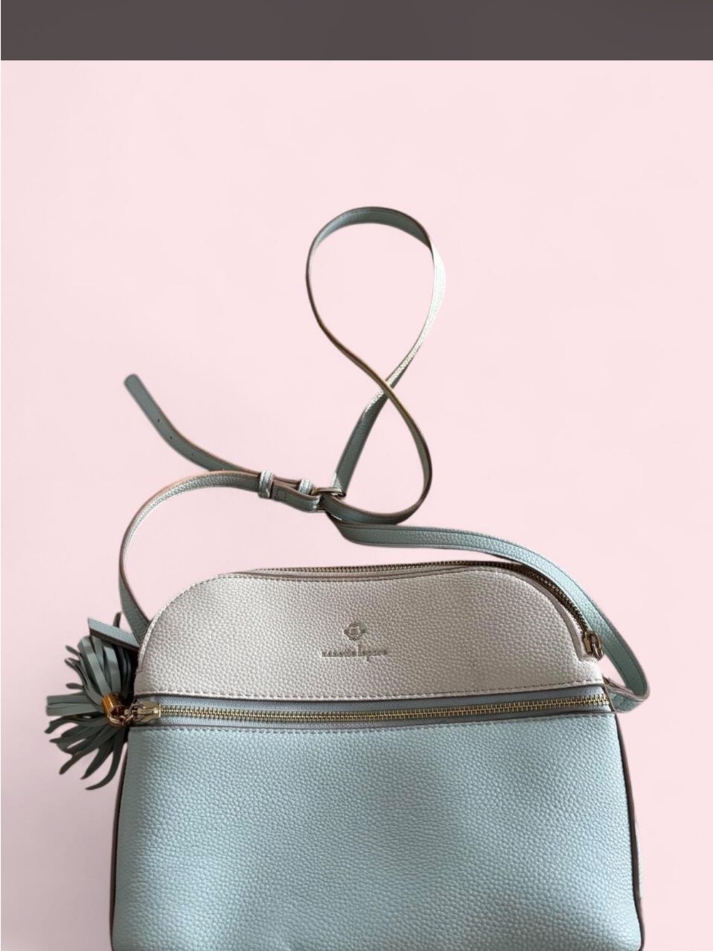 Nanette Lepore Mint and Cream Leather Crossbody